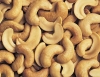 High Quality Cheap Raw Cashew Nut